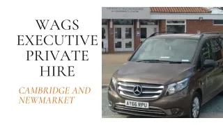 wags executive private hire