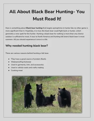 Black Bear Hunting Tips | Hunt Nation