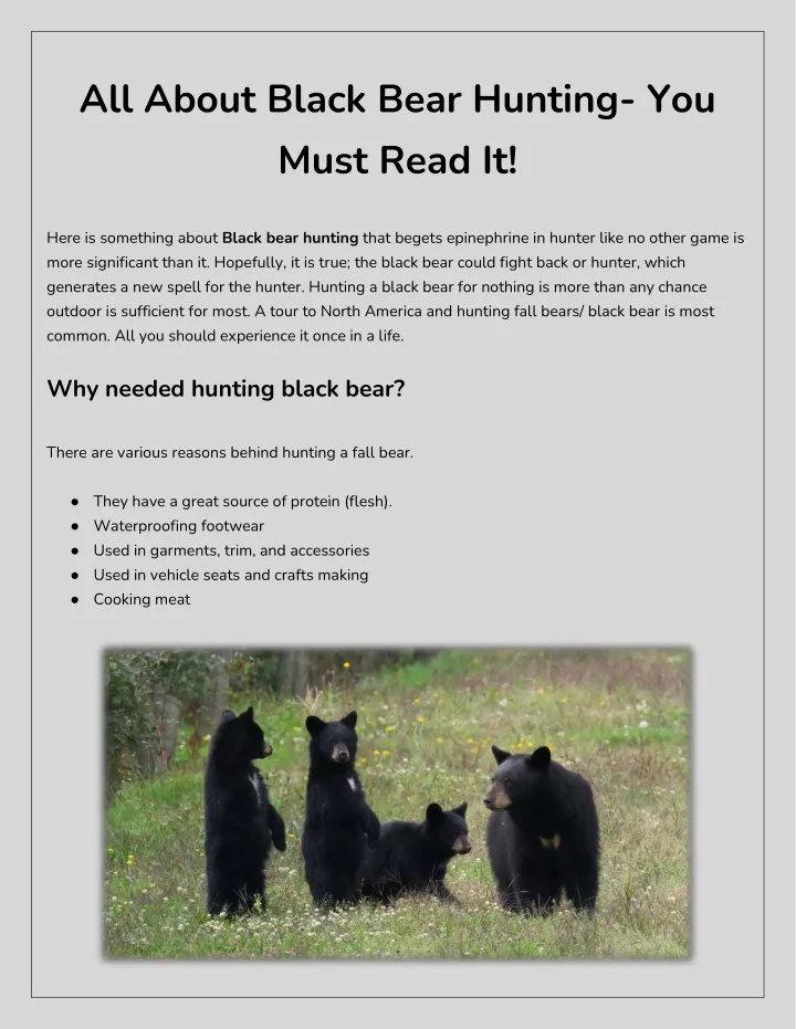 all about black bear hunting you must read it