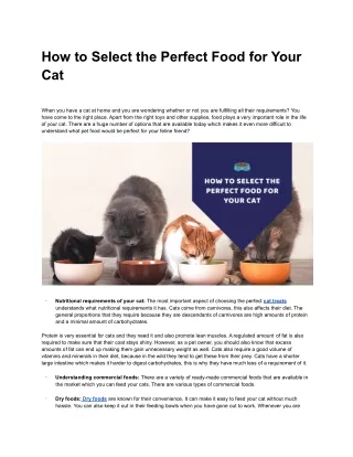 How to Select the Perfect Food For Your Cat