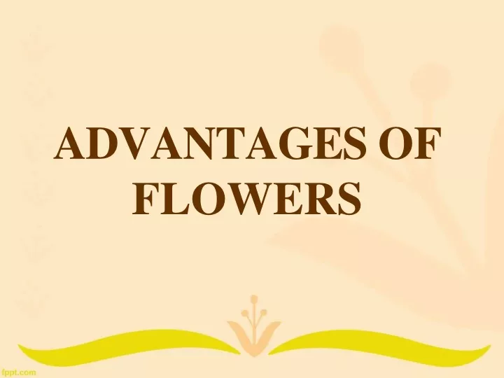 advantages of flowers