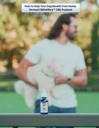 how to help your dog benefit from hemp derived