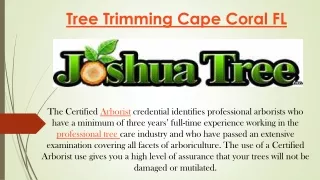 Tree Trimming Cape Coral FL