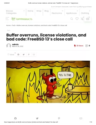 Buffer Overruns License Violations