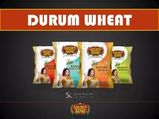 Durum Wheat and Its Benefits - Golden Bansi