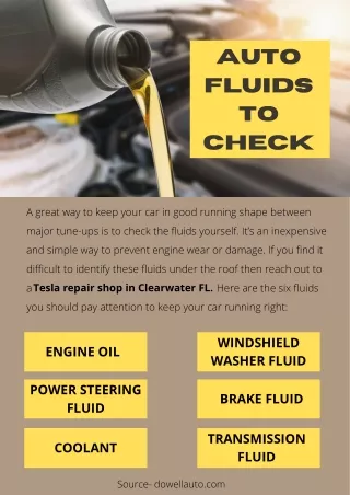 Auto Fluids to Check