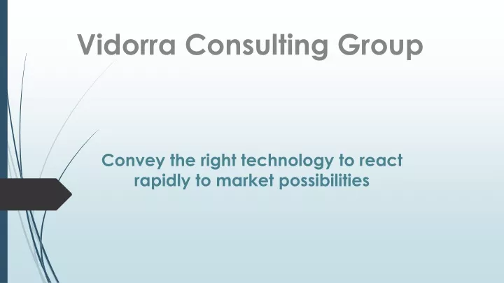 vidorra consulting group