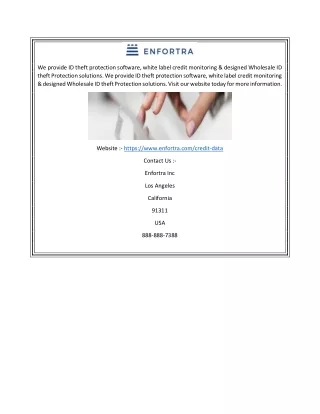 we provide id theft protection software white