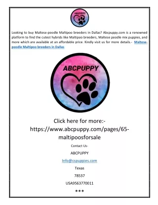 looking to buy maltese poodle maltipoo breeders