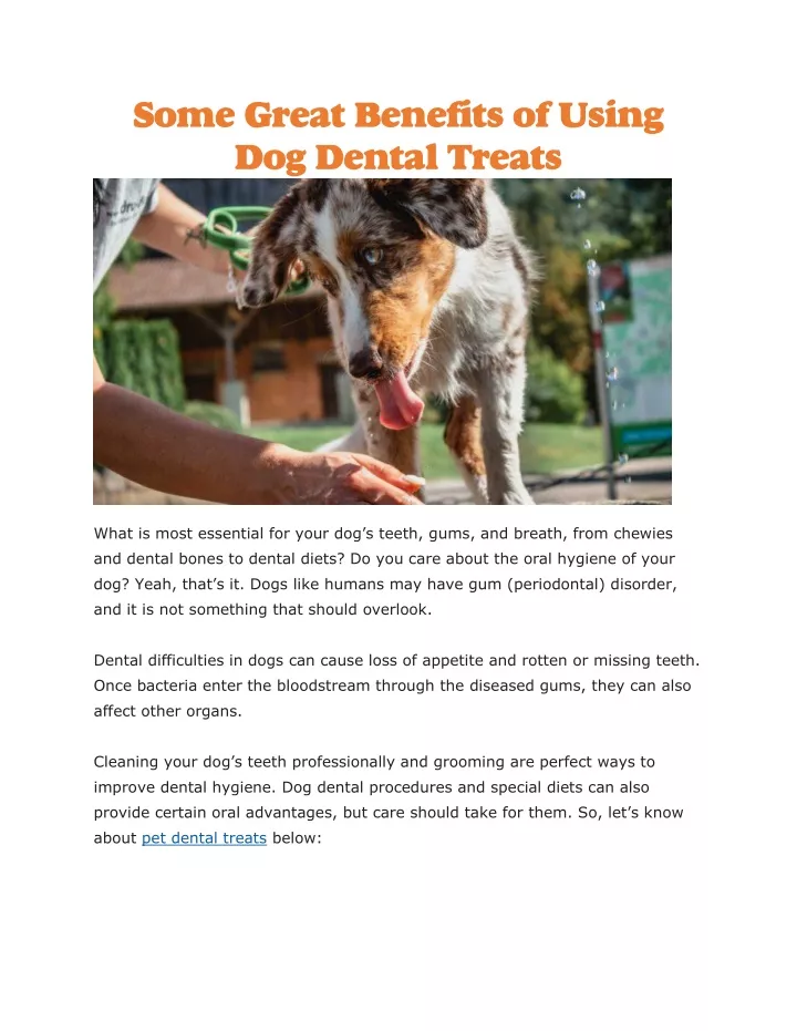 some great benefits of using dog dental treats