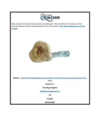 Buy Blue Meanie Mushrooms Online In Canada | The Magic Kingdom