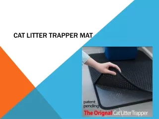 Buy Cat Litter Trapper Mat Online in USA - Purple Pet Iprimio