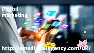 SEO Company in uk