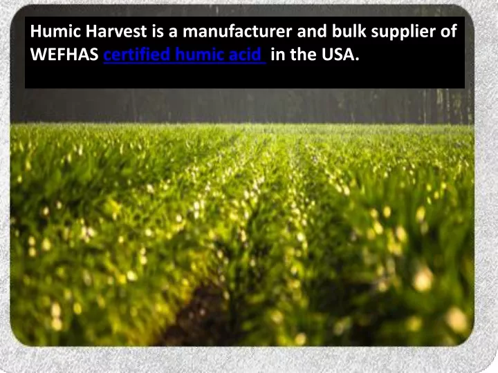 humic harvest is a manufacturer and bulk supplier