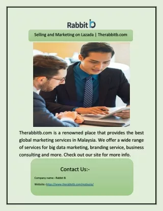 Selling and Marketing on Lazada | Therabbitb.com