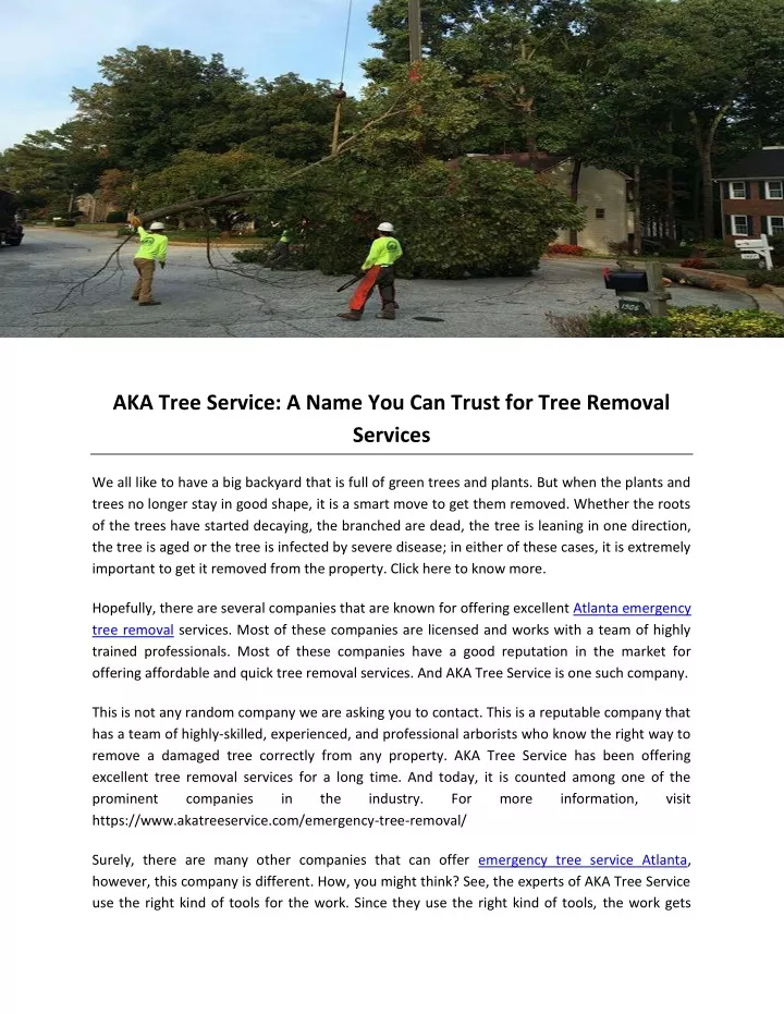 aka tree service a name you can trust for tree