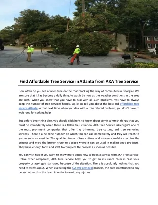 find affordable tree service in atlanta from