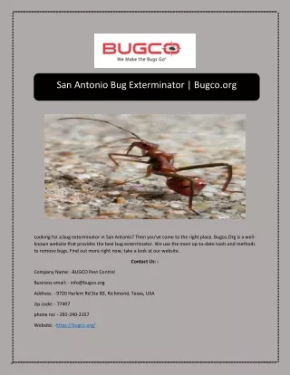 san antonio bug exterminator bugco org