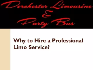 Hire a Professional Party Limo Service in London