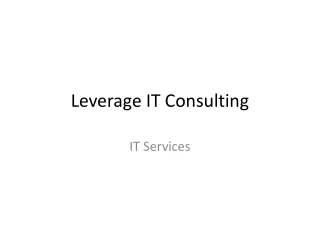 leverage it consulting