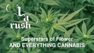 superstars of flower and everything cannabis
