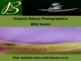 Original Nature Photographers