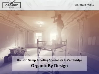 Holistic Damp Proofing Specialists In Cambridge - Organic By Design