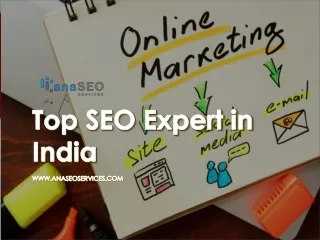 top seo expert in india