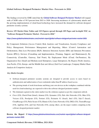 global software designed perimeter market size