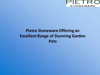 Pietro Stoneware Offering an Excellent Range of Stunning Garden Pots