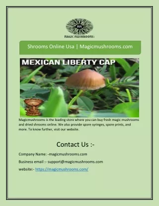 shrooms online usa magicmushrooms com