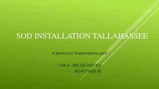 Get The Complete Information about Sod installation Tallahassee