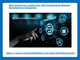 why should you collaborate with professional