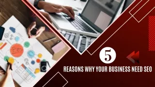 5 Reasons Why Your Business Need SEO