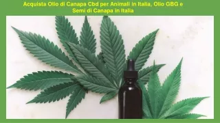 Acquista Olio di Canapa Cbd per Animali in Italia, Olio GBG e Semi di Canapa in Italia