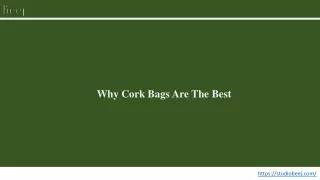Why Cork Bags Are The Best