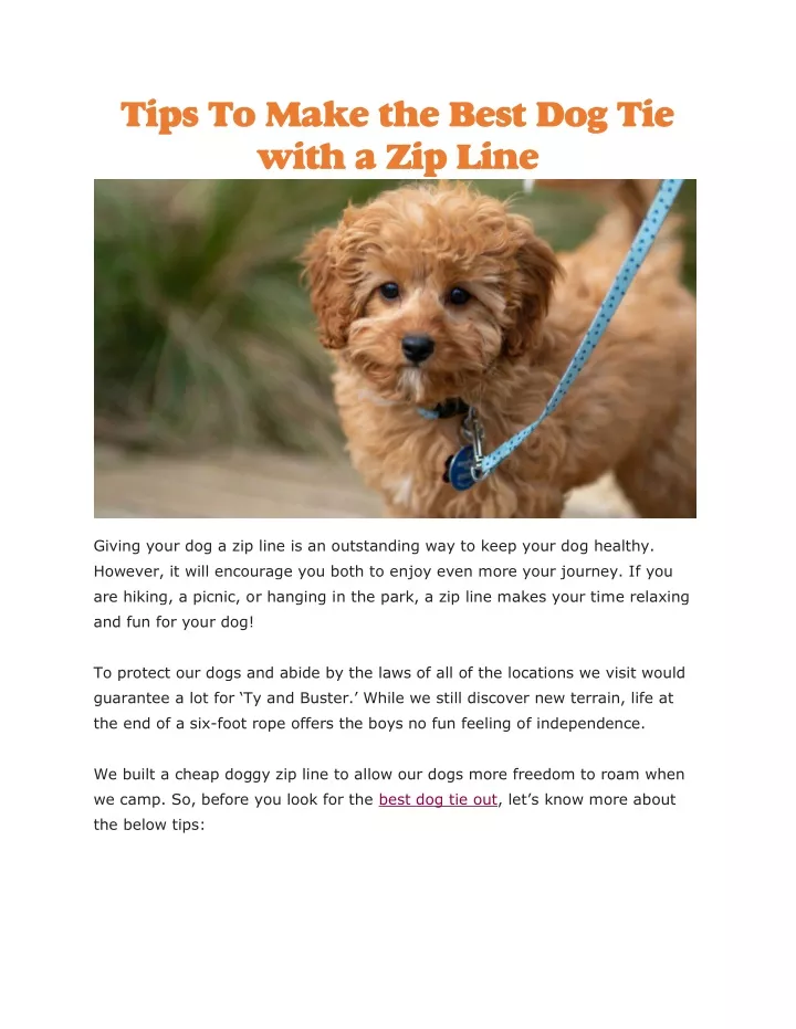 tips to make the best dog tie with a zip line