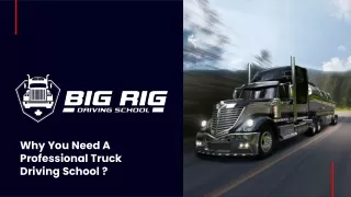 why you need a professional truck driving school