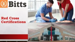 Certification Courses at Bitts Int. Career College