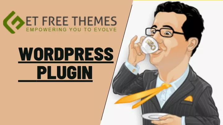 wordpress plugin