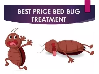 Result worthy bed bug treatment in Chicago