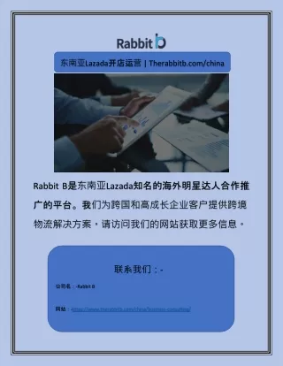东南亚Lazada开店运营 | Therabbitb.com/china