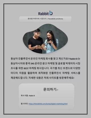 therabbitb com korea