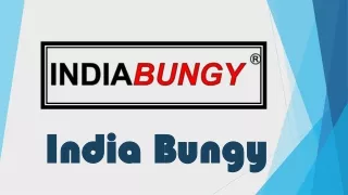 Bungy trampoline