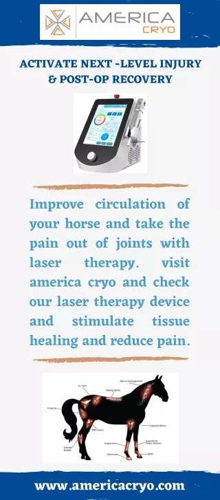 Laser Therapy