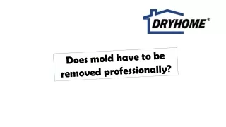 does mold have to be removed professionally