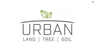 Expert Tree Trimming, Removal And Cutting Services in San Antonio, Boerne