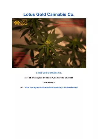 lotus gold cannabis co