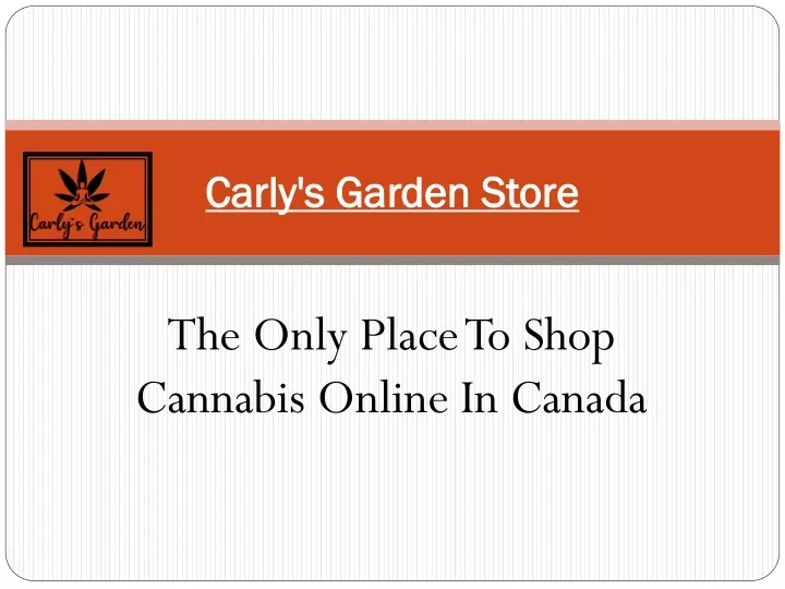 carly s garden store