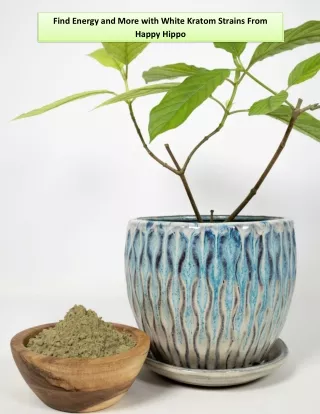 Find Energy and More with White Kratom Strains From Happy Hippo
